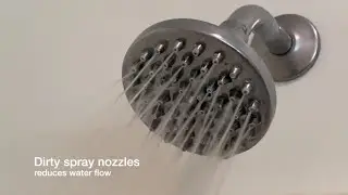 How To Clean Your Shower Head with No Tools or Plumbing Experience