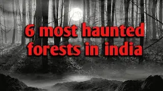 6 most haunted forests in india - paranormal activities