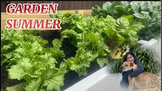 Summer Feeding the Birds 3 | ATHEL TV