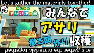 参加型 あつ森｜みんなでアサリ収穫！撒き餌づくり！　#あつまれどうぶつの森 #あつ森 #ACNH