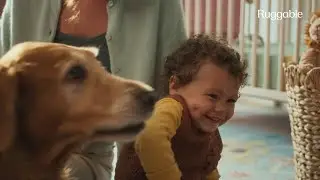 Finn the Golden Retriever Shines in Adorable Ruggable Commercial 🐾✨