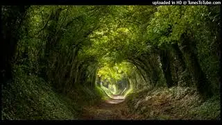 Jon Anderson - Amor Real (Global Communication Remix)
