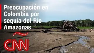 Preocupaci&oacute;n en Colombia por sequ&iacute;a del r&iacute;o Amazonas