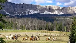Shoshone National Forest Wyoming: Authentic Old West Experience 4K Video