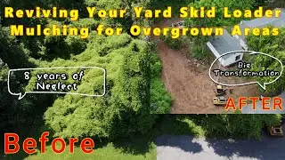 Skid Loader Forestry Mulcher & Mini X Clearing land 8 yrs of Overgrowth Yard