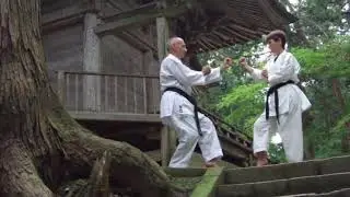 Discipline in the Martial Arts