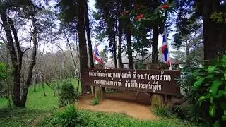 Kew Fin & Pha Nam Lod กิ่วฝิ่น ผาน้ำลอด แม่กำปอง