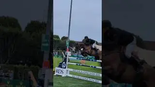The RDS Dublin Horse Show! #RDS #Dublin #fyp #viral #equestrian #showjumping #equineevie123 #cute
