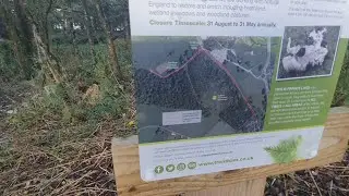 Trying to walk up to the 1st Duke of Sutherland's monument on the Trentham Estate