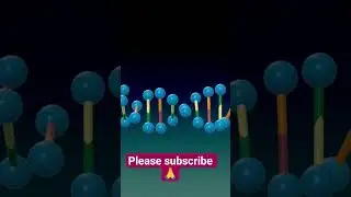|Beautiful 3D Rotating DNA Helix | Molecular Biology Visualization|#dna #rotation #molecularbiology