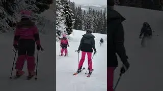 säfsen 2025