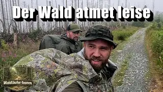 Draußen, wenn andere reingehen - Bushcraft Nacht im nebligen Regenwald — Waldläufer Tour