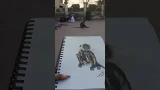monkey drawing in dakkhineswar 😜😂 #youtube #art #funny #funnyvideo #reels #artwork #artist #monkey