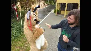 Cricket the Caracal catslapping their handler