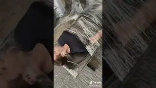 Escaping Dexter  #dexter #escape #viral #blowthisup #fearless #trending #dutchsquad #lookalike #psa