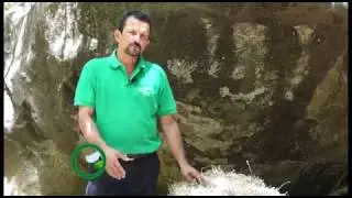 Amonificación de rastrojos