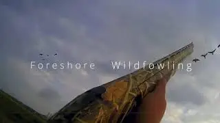 Foreshore Wildfowling