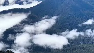 Klahanie Ridge - Olympic National Park - 6-28-24
