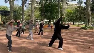 Tai Chi Kung- Forme  en 10 mouvements de la Yang Family Tai Chi        (@bamboubalance8573)