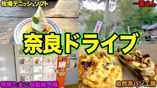 絶景道路『山麓線』周辺のグルメ＆スポットが想像以上に凄かった！【奈良ドライブ】