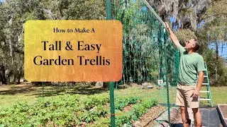 HOW TO BUILD A TALL & EASY TRELLIS FOR YOUR GARDEN.