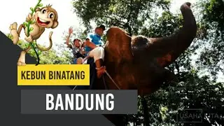 Kebun Binatang Bandung