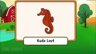 ABB! CHANNEL | Game Belajar berbagai hewan laut