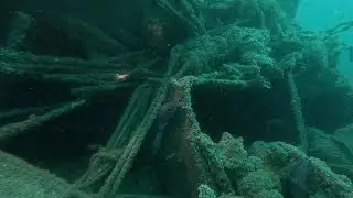 Plongée sur l'épave du Walter à 35m (4k)