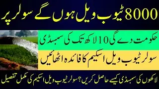 Punjab Solar Tubewell Scheme 2025 &ndash; Government Subsidy for Farmers