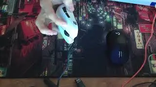 Endgame Gear Xm2 8k V2 Mouse Review