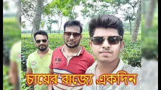 Visit Tea Garden and Resort 😍 | Ruthna Tea Estate | Chairman Bungalow | Sylhet