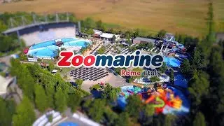 Zoomarine emozioni per tutte le stagioni!