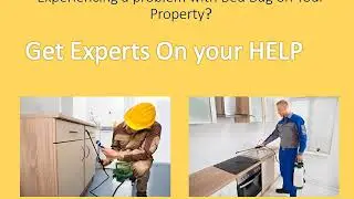 Goodyear Bed Bug Exterminator &ndash; Bed bugs Removal Service Goodyear