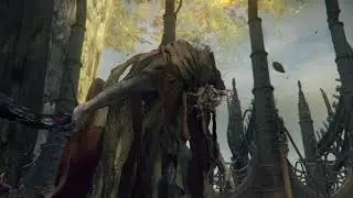 ELDEN RING [BLIND] (Pt. 83) - We Meet Again