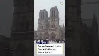 Snow-Covered Notre Dame Cathedral Stuns Paris | SG News
