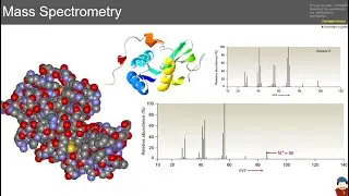 Electrospray Ionization ESI | Mass Spectrometry (1.3)