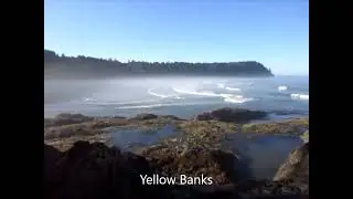 Ozette: Sand Point, Yellow Banks, and Erickson's Bay