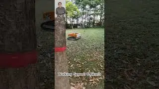 wireless robot mower China manufacturer factory supplier wholesaler