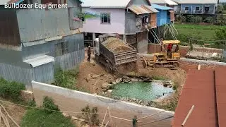 100% Begin Work! Bulldozer & Dump Trucks Powerfully Fill the Hole with Stone & Soil
