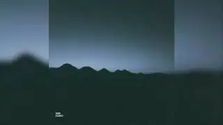 SACHEM - Treedom