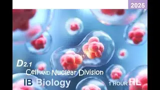 IB Bio 2025 D2.1 Cell and Nuclear Division HL Note #ib #ibbiology #biology #mitosis #meiosis #cancer
