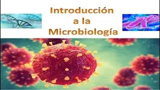 Introducción a la Microbiologia