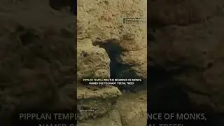 Pipplan Temple in TAXILA🛕🕉️