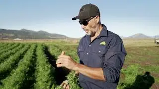 Meet Farmer Michael Rieck
