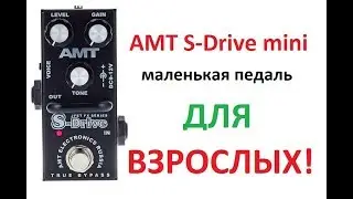 AMT S-Drive mini