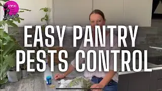 Best Way To Keep Your Pantry Pest Free Forever!