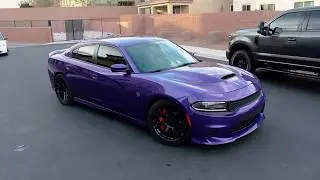 Plum Crazy Hell Cat charger | Joseph Lyte