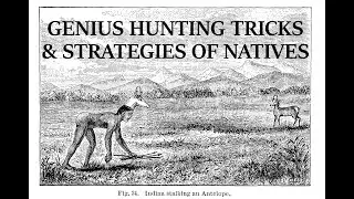 How Natives Hunted Deer: historical Miwok methods.