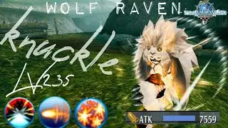 'Wolf raven' Build Lv235|&bull;Knuckle-Crusher Classic Build&bull;|Toram online