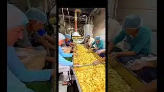 testy chips making in factory #food #healthy #testy